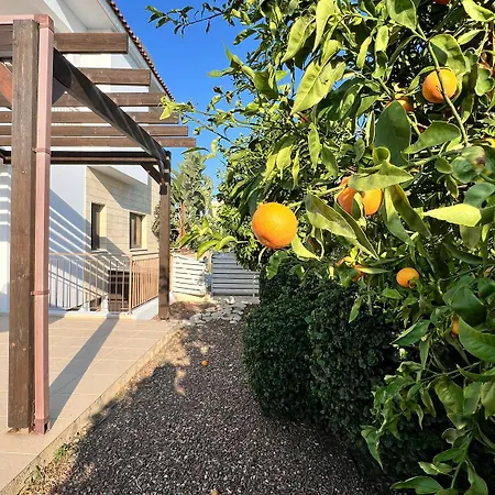 Villa Aris *